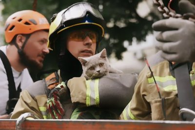 Життя котика важливе. Історія про перший бойовий виїзд житомирського рятувальника Життя котика важливе. Історія про перший бойовий виїзд житомирського рятувальника