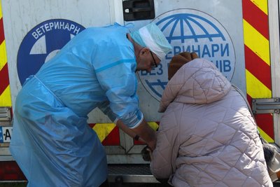 Жінка принсла домашню тварину на пільгову стерилізацію у Сахновщинській громаді