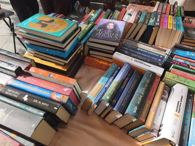 У Житомирі провели благодійний книжковий ярмарок на підтримку безпритульних тварин У Житомирі провели благодійний книжковий ярмарок на підтримку безпритульних тварин