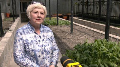 безкоштовні заняття, теплиця, ВПО, кременець безкоштовні заняття, теплиця, ВПО, кременець