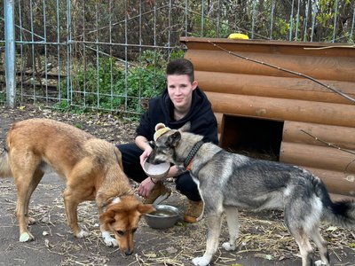 Зимовий прихисток для безпритульних тварин у Житомирі Зимовий прихисток для безпритульних тварин у Житомирі