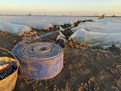 Херсонщина, посівна, поле, фермери, сільське господарство, аграрії Херсонщина, посівна, поле, фермери, сільське господарство, аграрії