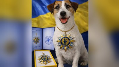 "Собака не тільки має охороняти, а й може працювати в реабілітації": як чотирилапа Берта допомагає дітям і ветеранам "Собака не тільки має охороняти, а й може працювати в реабілітації": як чотирилапа Берта допомагає дітям і ветеранам