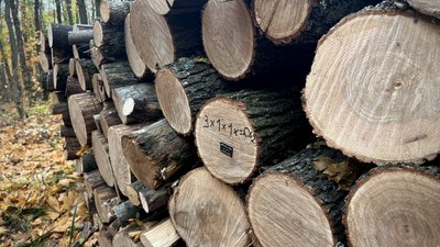 Дрова Харків Дрова Харків