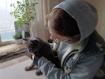 У квартирі +13, а в платіжці — понад тисяча гривень. Чи можуть дніпряни подати на перерахунок за опалення У квартирі +13, а в платіжці — понад тисяча гривень. Чи можуть дніпряни подати на перерахунок за опалення
