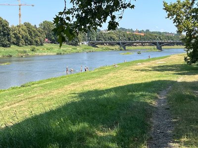 В Ужгороді заборонили купатися в річці, озері та кар’єрі: яка причина В Ужгороді заборонили купатися в річці, озері та кар’єрі: яка причина