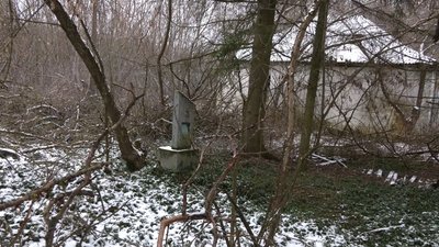 Село лише на паперах: у Ляшківцях на Чернігівщині сім років ніхто не живе Село лише на паперах: у Ляшківцях на Чернігівщині сім років ніхто не живе