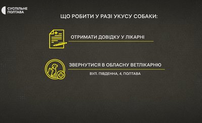 Деякі полтавці скаржаться на агресивних безпритульних собак: що робити у разі нападу та укусів Деякі полтавці скаржаться на агресивних безпритульних собак: що робити у разі нападу та укусів