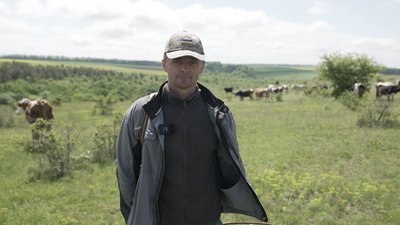 Депутати пасуть корів: як на Вінниччині зберігають давню традицію череди Депутати пасуть корів: як на Вінниччині зберігають давню традицію череди