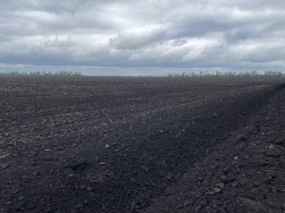 Дві аграрні фірми на Полтавщині конфліктують через паї селян: хто і чому незаконно засіває землю