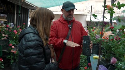 Вирощують понад 1 300 сортів троянд та продають на ринку: як подружжя з Чернігівщини продовжує справу бабусі