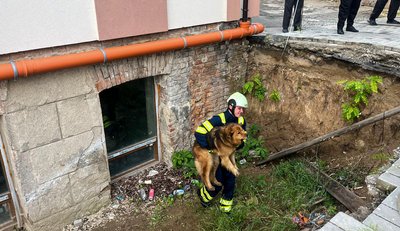 В Умані з двометрової ями витягли собаку В Умані з двометрової ями витягли собаку