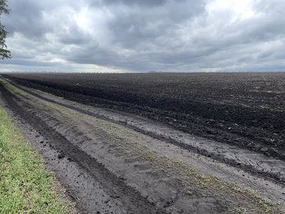 Дві аграрні фірми на Полтавщині конфліктують через паї селян: хто і чому незаконно засіває землю