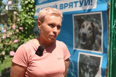 "Кінцева мета — знайти родину": в Одесі працює центр адопції собак, врятованих з війни "Кінцева мета — знайти родину": в Одесі працює центр адопції собак, врятованих з війни