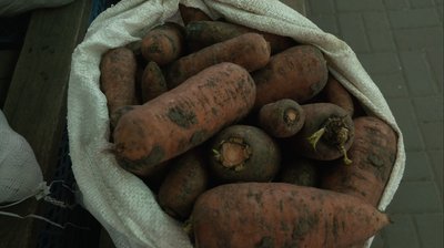 «По одній — дві штучки купують»: у Черкасах ціна на моркву зросла удвічі впродовж травня «По одній — дві штучки купують»: у Черкасах ціна на моркву зросла удвічі впродовж травня