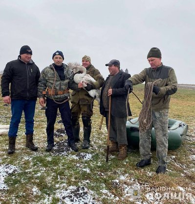 На Житомирщині поліцейський допоміг врятувати лебедя з крижаної пастки На Житомирщині поліцейський допоміг врятувати лебедя з крижаної пастки