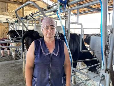 "Стараємося вижити і все": як відключення електрики впливає на розведення корів на Полтавщині "Стараємося вижити і все": як відключення електрики впливає на розведення корів на Полтавщині