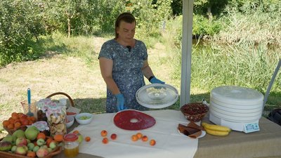 Кропивничанка виготовляє 42 види пастили: фрукти і ягоди з власного саду Кропивничанка виготовляє 42 види пастили: фрукти і ягоди з власного саду