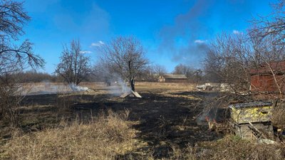 На Черкащині протягом доби п'ять разів горів сухостій: одна людина загинула На Черкащині протягом доби п'ять разів горів сухостій: одна людина загинула