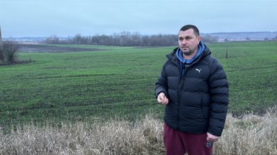 Теплий листопад спричинив хвороби озимих культур: що врятує врожай