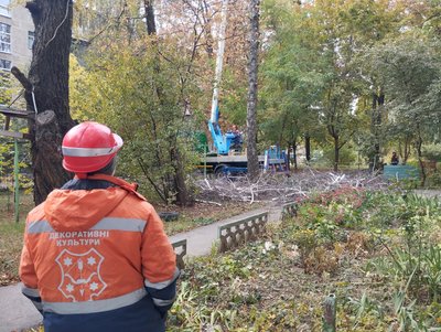 У Полтаві, аби уникнути нещасних випадків, пришвидшили спилювання аварійних дерев У Полтаві, аби уникнути нещасних випадків, пришвидшили спилювання аварійних дерев