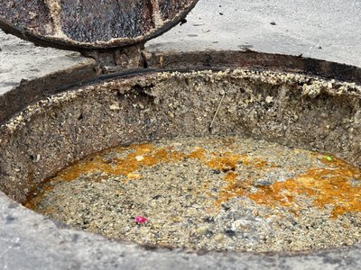 У Полтаві затопило нечистотами підвал житлового будинку: що кажуть у водоканалі У Полтаві затопило нечистотами підвал житлового будинку: що кажуть у водоканалі
