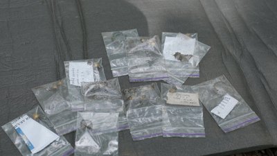 Перстень, намистини, кільця: на Полтавщині під час студентської експедиції знайшли курган часів Русі Перстень, намистини, кільця: на Полтавщині під час студентської експедиції знайшли курган часів Русі