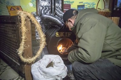 Зима в київському зоопарку: горила Тоні має власний пункт обігріву Зима в київському зоопарку: горила Тоні має власний пункт обігріву