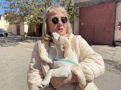 Нові охоронці. Співробітники Херсонського музею прихистили двох цуценят Нові охоронці. Співробітники Херсонського музею прихистили двох цуценят
