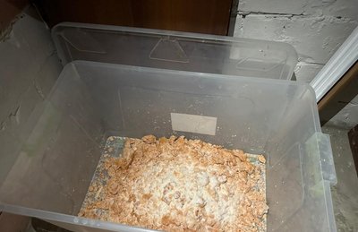 У нарколабораторіях виготовляли більш як 15 кг психотропів на місяць У нарколабораторіях виготовляли більш як 15 кг психотропів на місяць