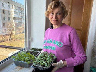 Коли і як пікірувати розсаду перцю: поради городниці з Житомира Коли і як пікірувати розсаду перцю: поради городниці з Житомира