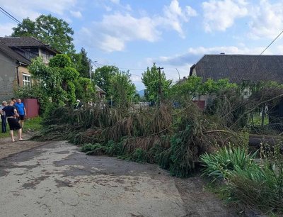 Падіння дерев на дороги: наслідки негоди на Закарпатті Падіння дерев на дороги: наслідки негоди на Закарпатті