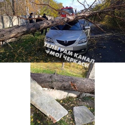 На Черкащині через порив вітру на автівку впало дерево На Черкащині через порив вітру на автівку впало дерево