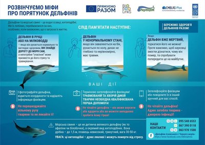 Науковці перевірять причини загибелі морської свині, яку знайшли на узбережжі Одеси Науковці перевірять причини загибелі морської свині, яку знайшли на узбережжі Одеси