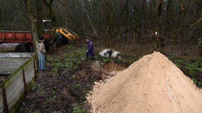"Підійшла до сараю — назустріч іде корова без очей": що відомо про атаку РФ по фермі на Чернігівщині, де загинула худоба "Підійшла до сараю — назустріч іде корова без очей": що відомо про атаку РФ по фермі на Чернігівщині, де загинула худоба