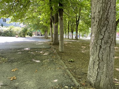 вулиця, Херсон вулиця, Херсон