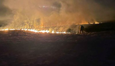 пожежа сухостою, горить сухостій, пожежа в екосистемі