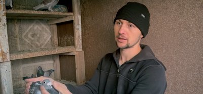 "При попутному вітрі показав швидкість понад 100 км": житель Хмельниччини вирощує голубів-спортсменів "При попутному вітрі показав швидкість понад 100 км": житель Хмельниччини вирощує голубів-спортсменів