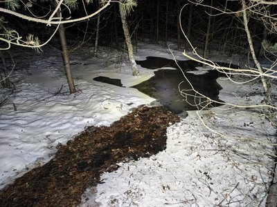 На Полтавщині зливали нечистоти з асенізатора у лісі та на околицях сіл: кого підозрюють у цьому місцеві На Полтавщині зливали нечистоти з асенізатора у лісі та на околицях сіл: кого підозрюють у цьому місцеві