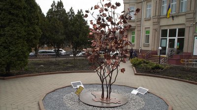 Присвятили безвісти зниклим і полоненим: у Кропивницькому встановили "Калину надії" Присвятили безвісти зниклим і полоненим: у Кропивницькому встановили "Калину надії"