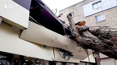 Деревопад на вулицях міста: наслідки негоди в Одесі Деревопад на вулицях міста: наслідки негоди в Одесі