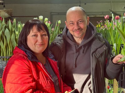 У Глухові подружжя вирощує тюльпани на другому поверсі власного будинку. Репортаж У Глухові подружжя вирощує тюльпани на другому поверсі власного будинку. Репортаж