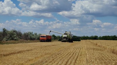 "Цей рік видався набагато кращим": на Миколаївщині почався збір урожаю "Цей рік видався набагато кращим": на Миколаївщині почався збір урожаю
