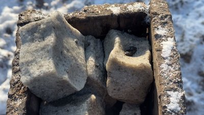 Годівля диких тварин Годівля диких тварин