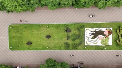 В одному з парків Києва з'явився 3D-квітник, присвячений літакам F16 В одному з парків Києва з'явився 3D-квітник, присвячений літакам F16