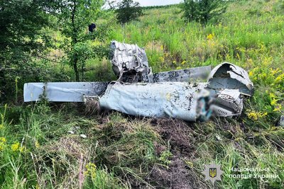 Не вибухнув під час падіння: на Вінниччині знешкодили бойову частину безпілотника Не вибухнув під час падіння: на Вінниччині знешкодили бойову частину безпілотника
