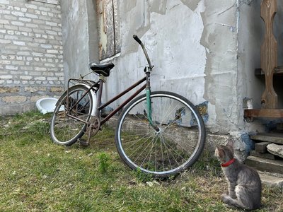 П’ять годин пішки вела корову: як жителька Новопавлівки рятувала своє господарство П’ять годин пішки вела корову: як жителька Новопавлівки рятувала своє господарство