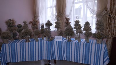 Село дідухів. На Вінниччині громада понад 30 років береже традицію різдвяних оберегів