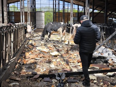 На Харківщині 10 "Шахедів" атакували ферму 1 На Харківщині 10 "Шахедів" атакували ферму 1