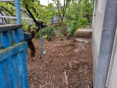 Негода на Тернопільщині, село Росохач, затопило дорогу, затопило, намул, сильні дощі, травень 2025 Негода на Тернопільщині, село Росохач, затопило дорогу, затопило, намул, сильні дощі, травень 2025